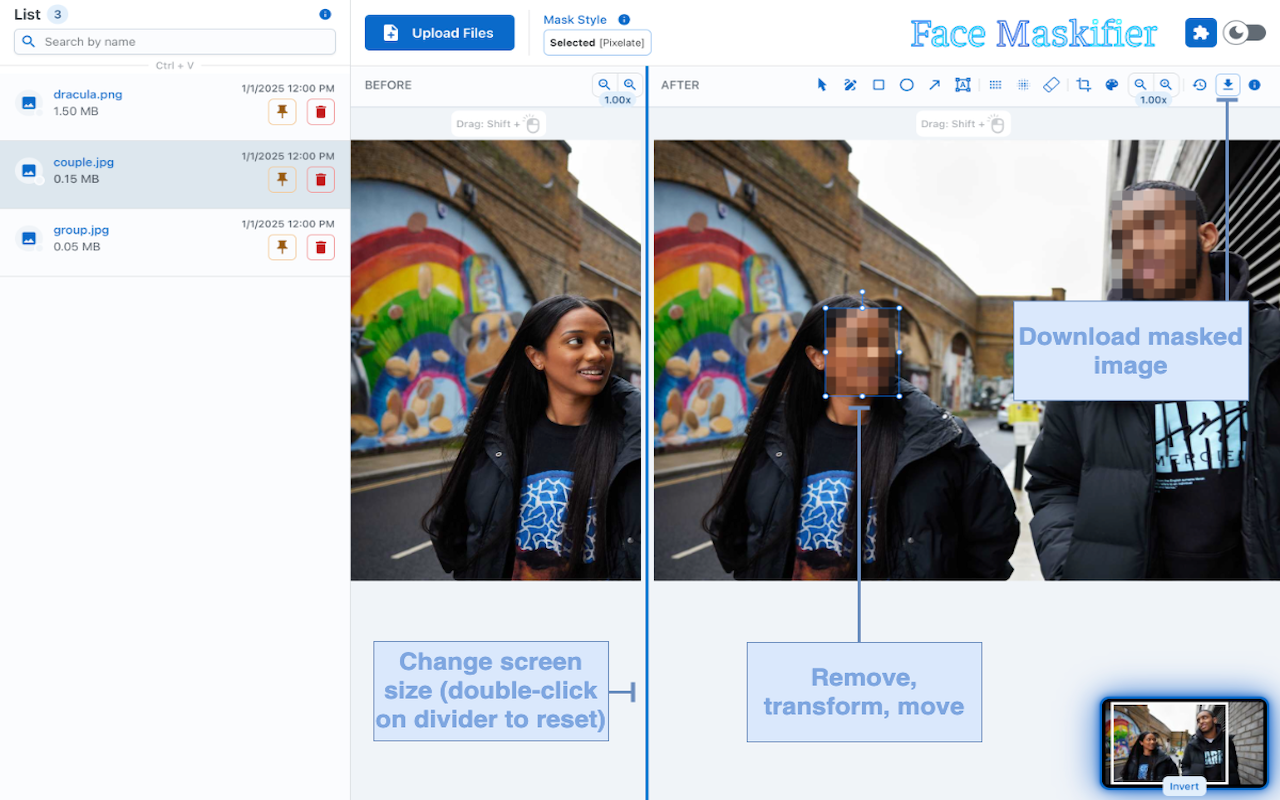 Face Maskifier Plugin gallery image