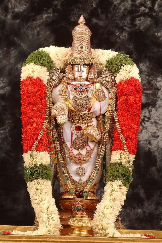 Padmavathi travels  gallery image