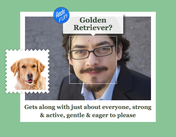 What-Dog gallery image