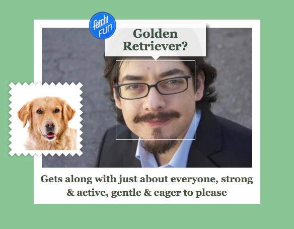 What-Dog Image
