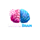 Second Brain