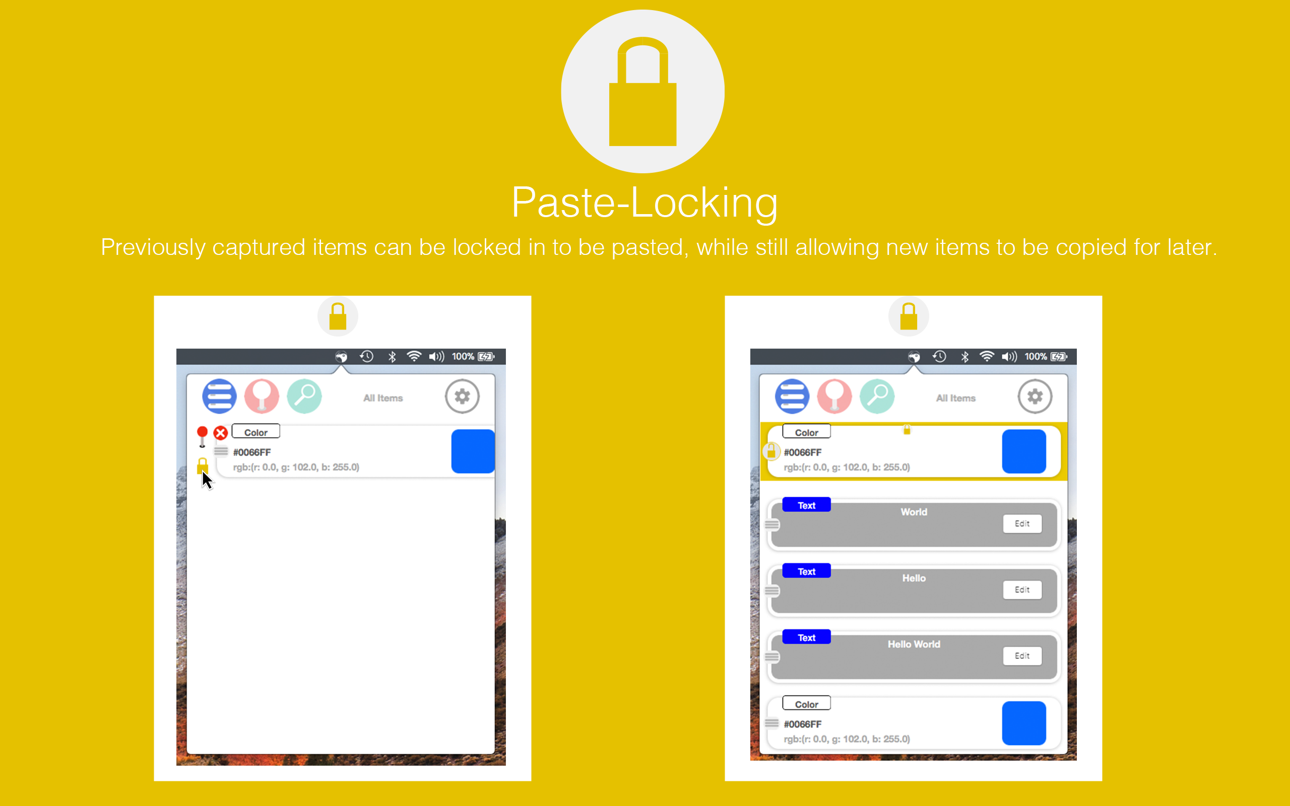 Bowerbird gallery image