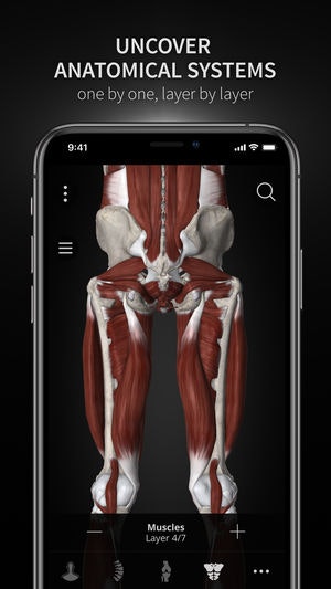 Anatomyka gallery image