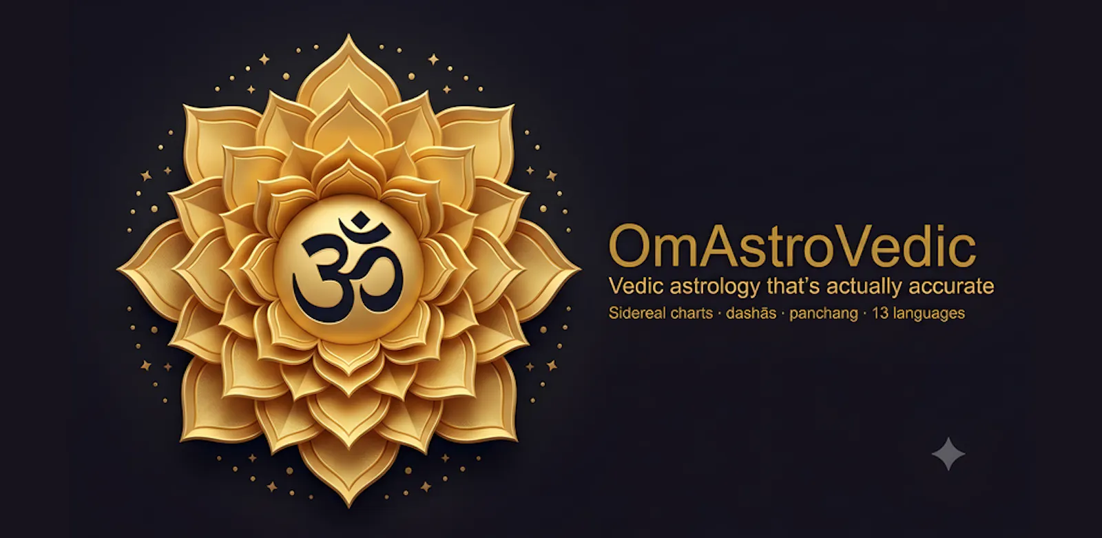 OmAstroVedic screenshot 2