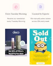 Index Ecommerce - ROAS Newsletter gallery image