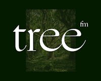 Tree.fm 🌲 media 1