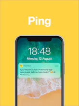 App Report Status gallery image