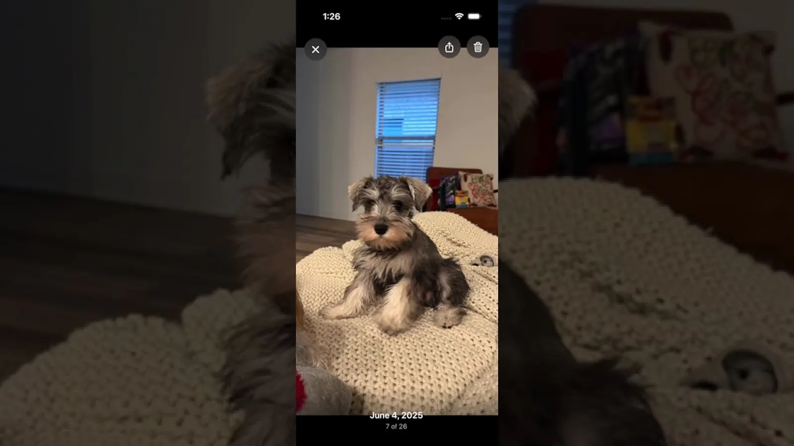 This Time Last Year screenshot 1 (video preview)