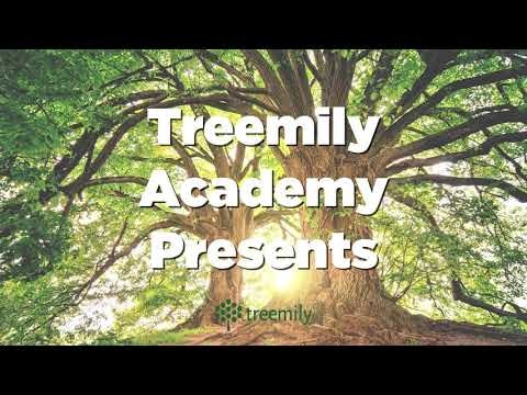 Treemily: Family tree maker gallery image