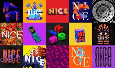 Project Nice gallery image