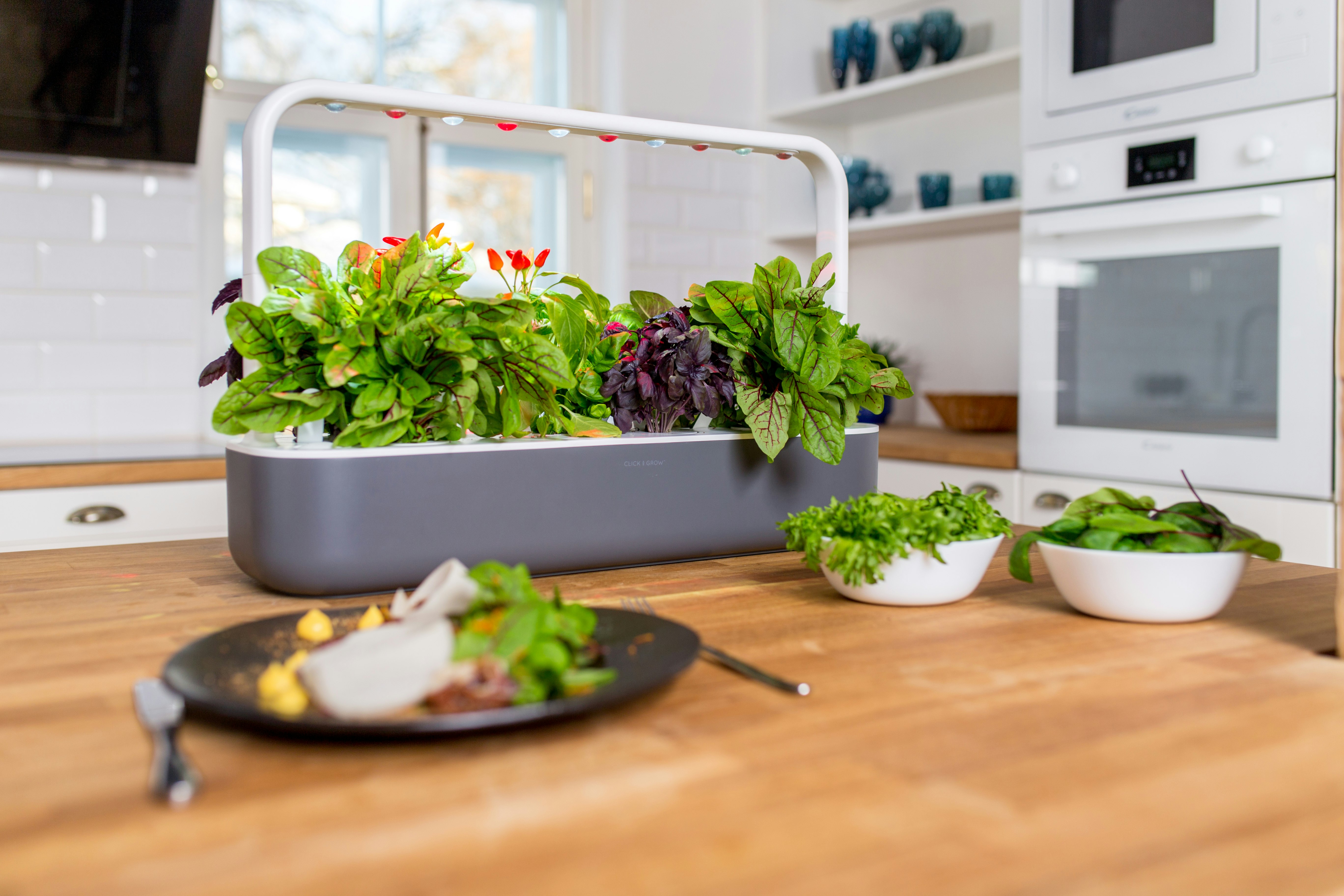 The Click & Grow self-growing Smart Garden gallery image