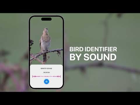 Bird Sounds Identifier Call ID gallery image
