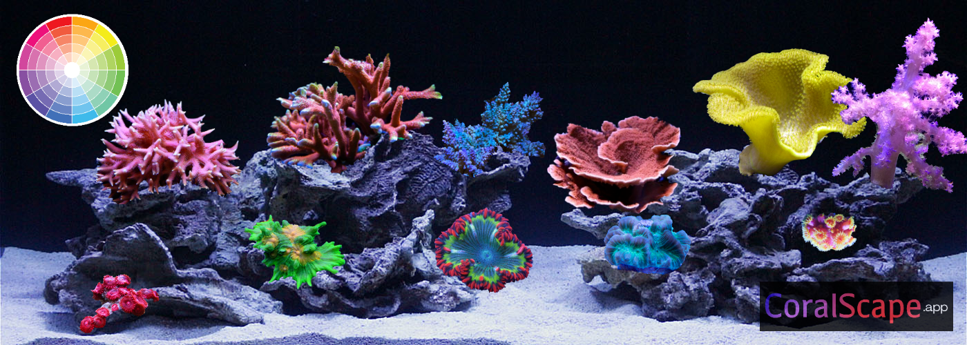 CoralScape.app media 2