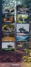 Relax Sounds - Calming gallery image