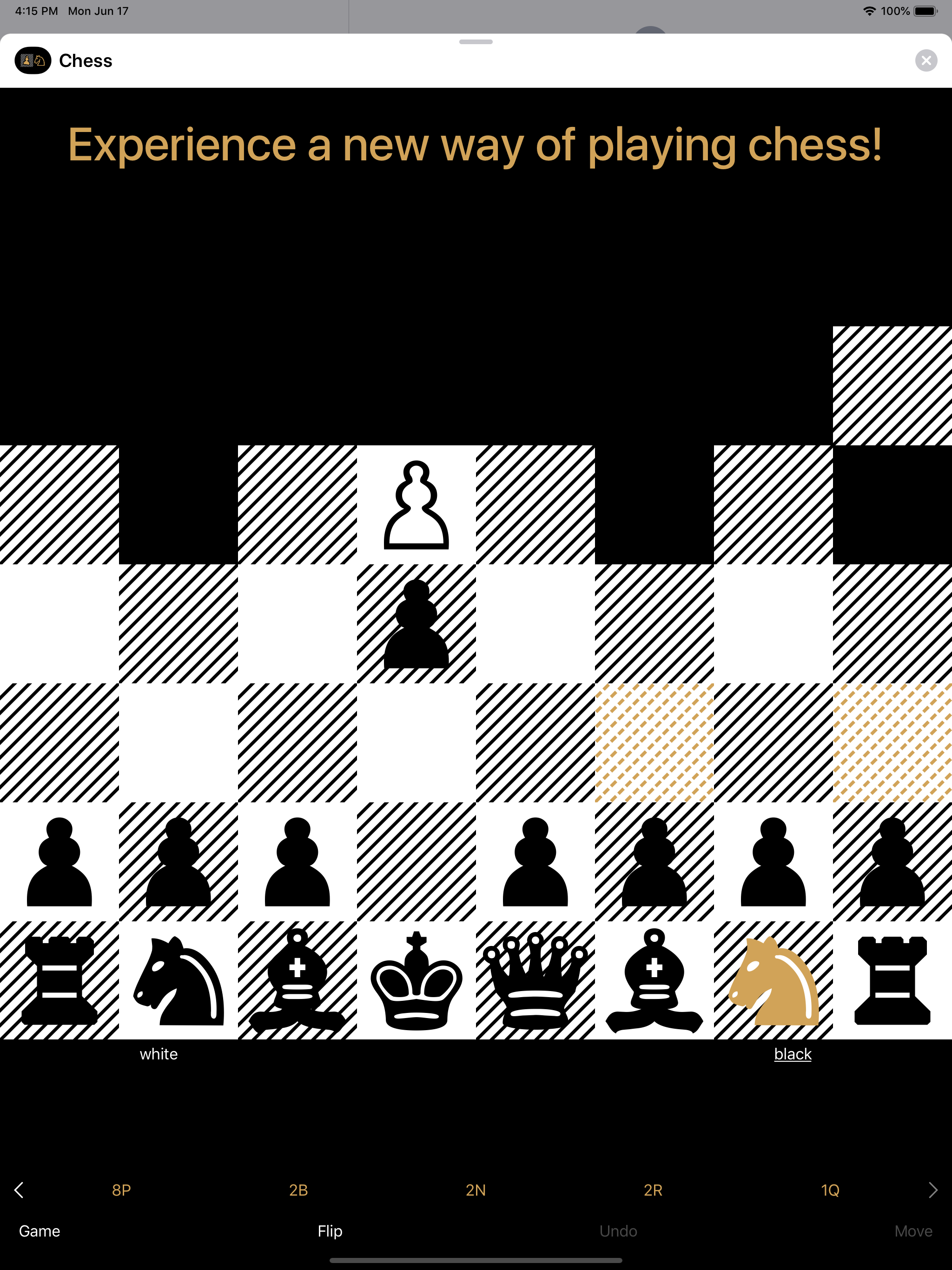 Chess gallery image