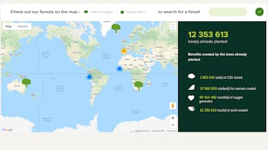 Reforest'action gallery image