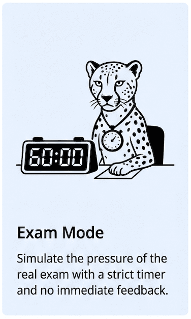 ExamJungle gallery image