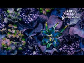 Green Gallery - Green Screen gallery image