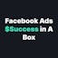 Facebook Ads Success in a Box