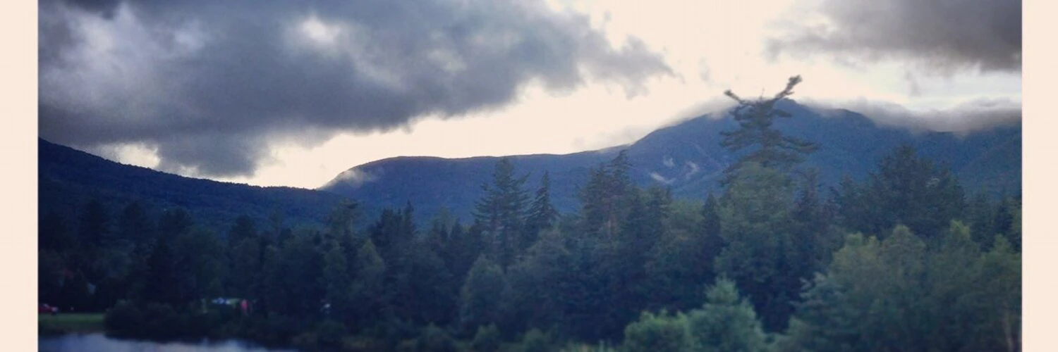 Ariela Weinberger cover