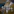 2009scape
