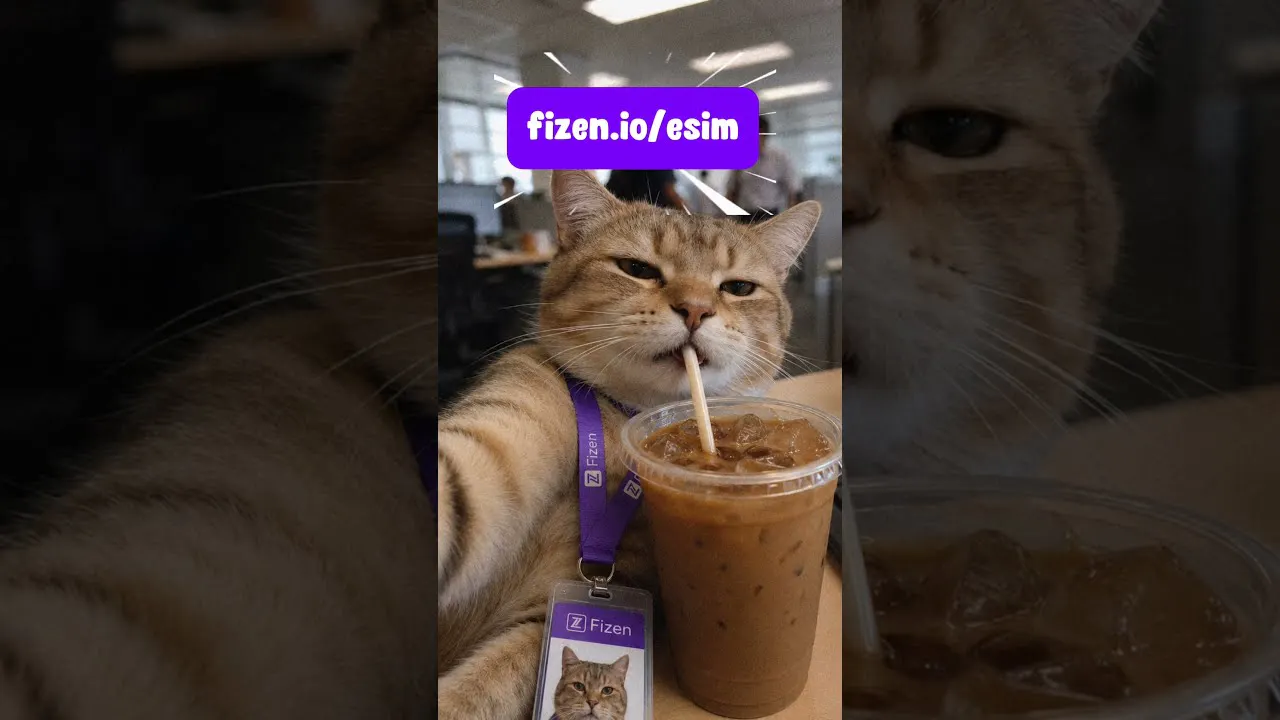 Fizen eSIM gallery image