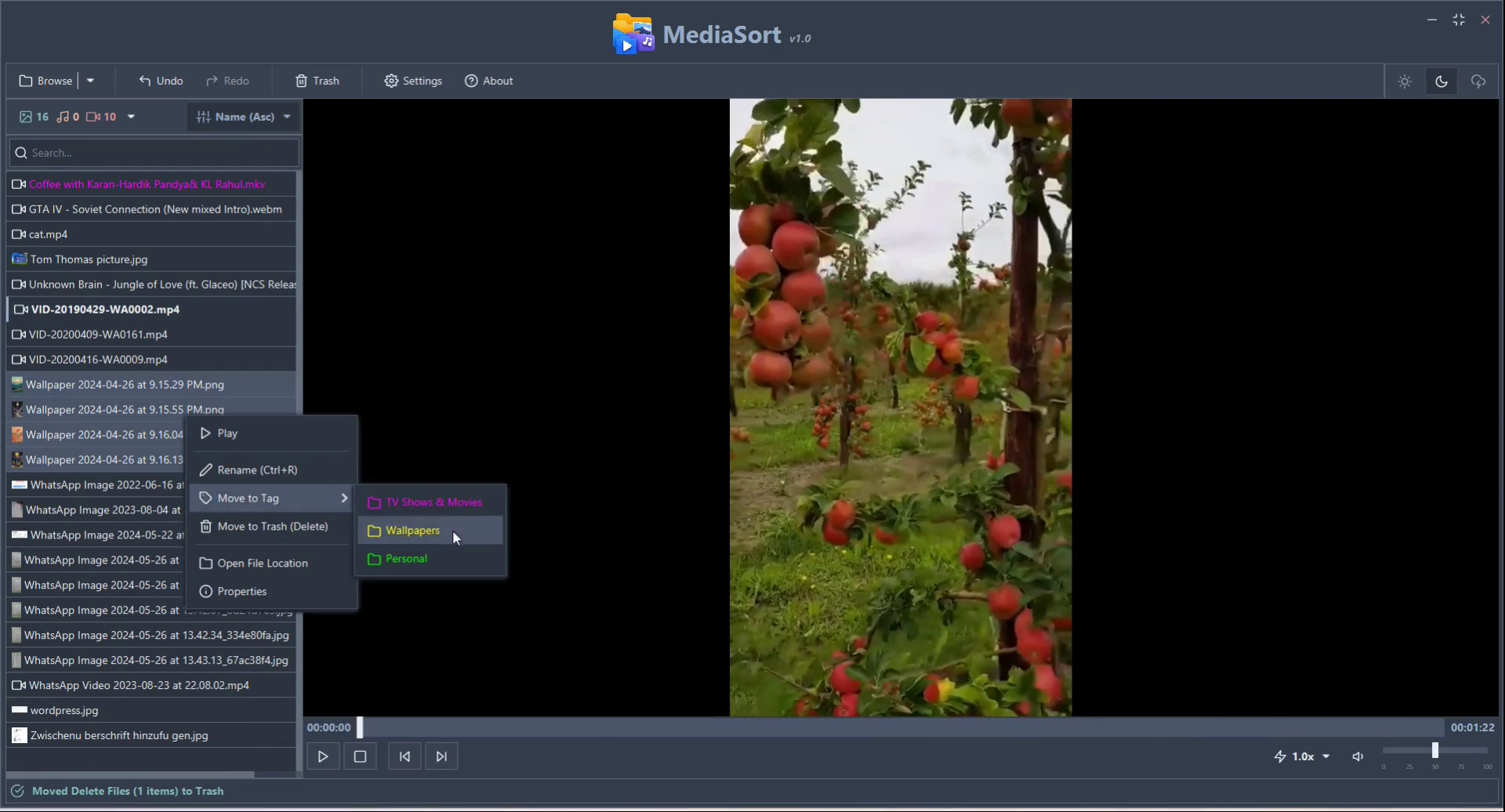 MediaSort gallery image