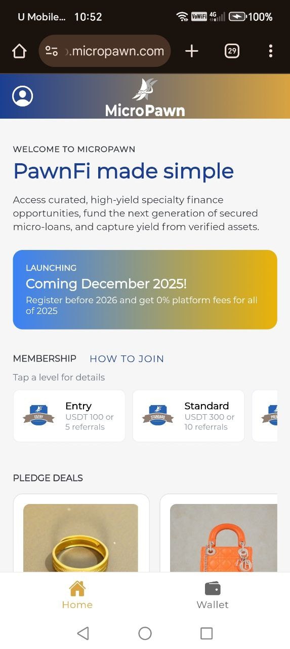 Micropawn - Main product screenshot demonstrating key features and user interface