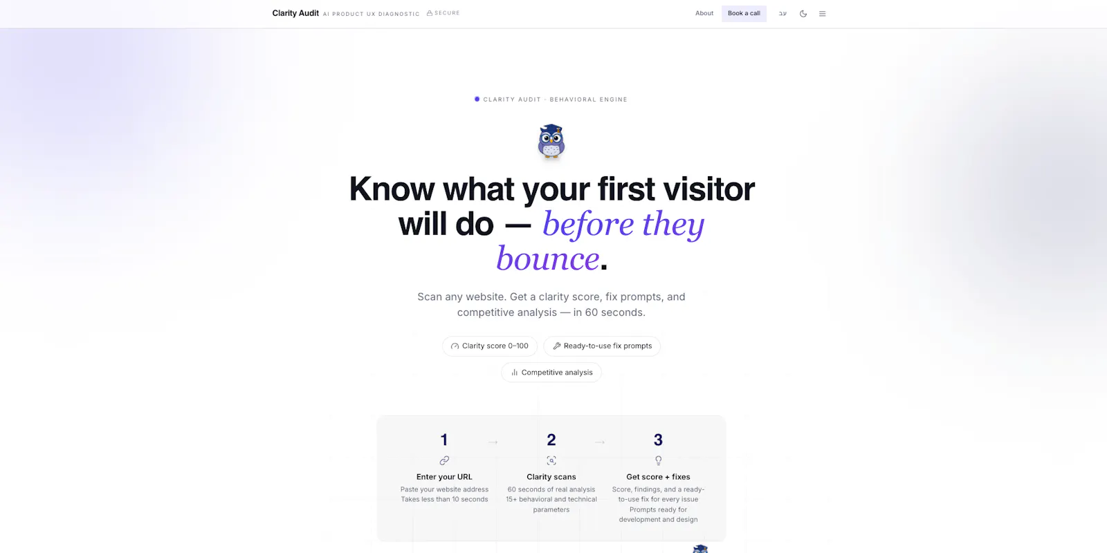 Clarity Audit screenshot 2