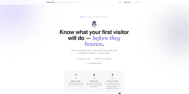Clarity Audit screenshot 2