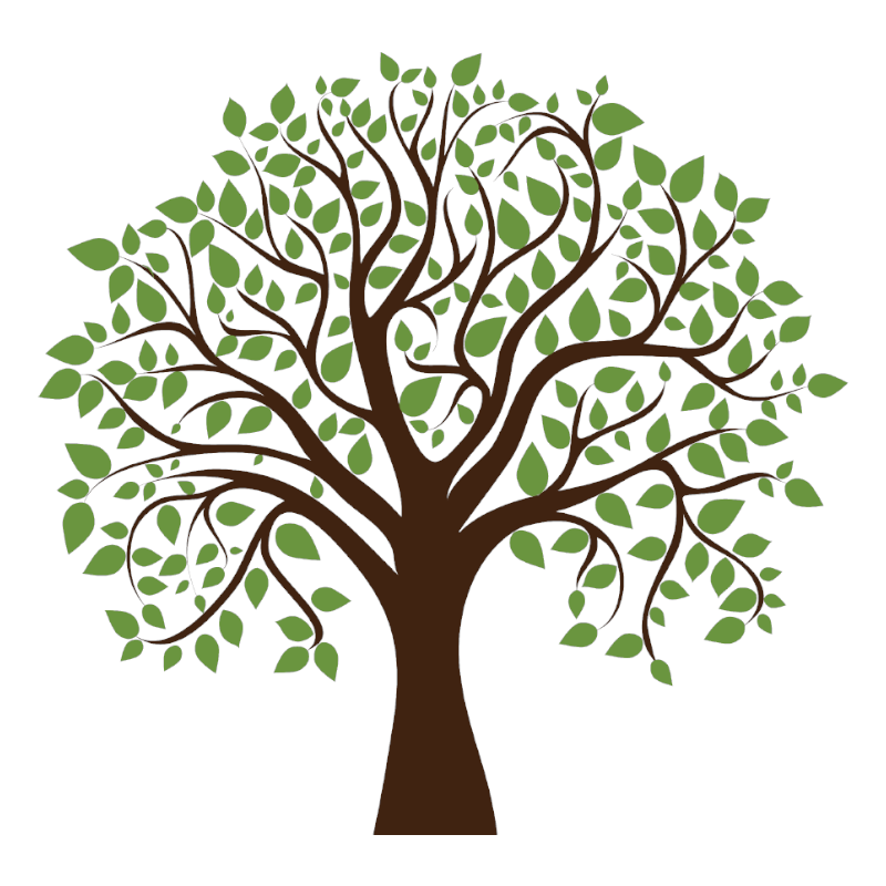 Less Boring-ify Trees