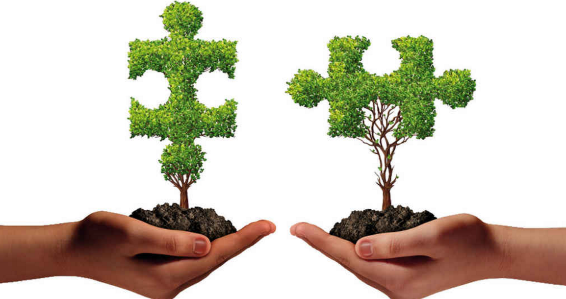 Co-writing a Book gallery image