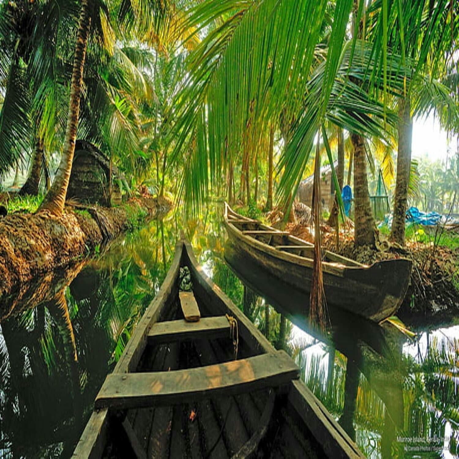 Kerala Honeymoon Packages gallery image