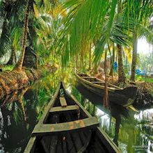 Kerala Honeymoon Packages gallery image