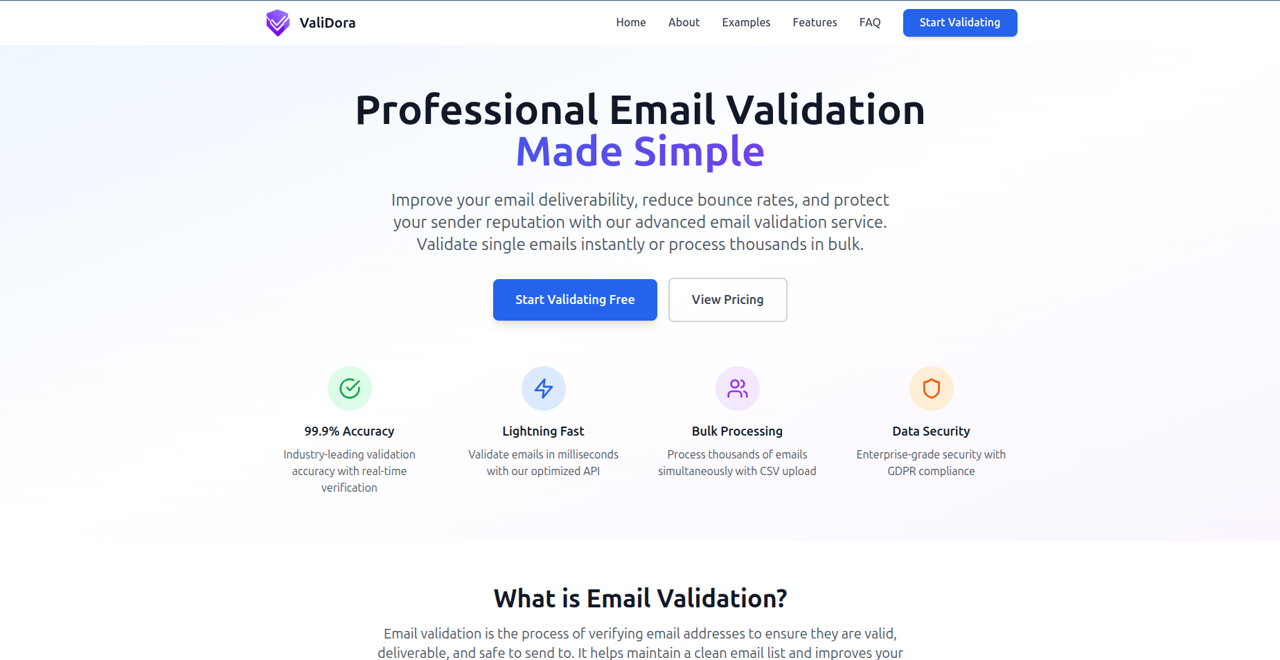 ValiDora - Main product screenshot demonstrating key features and user interface