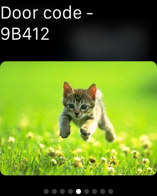 Dash for Apple Watch gallery image