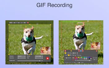 iCapturer gallery image