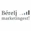 Google and Facebook Ads (Hungarian)