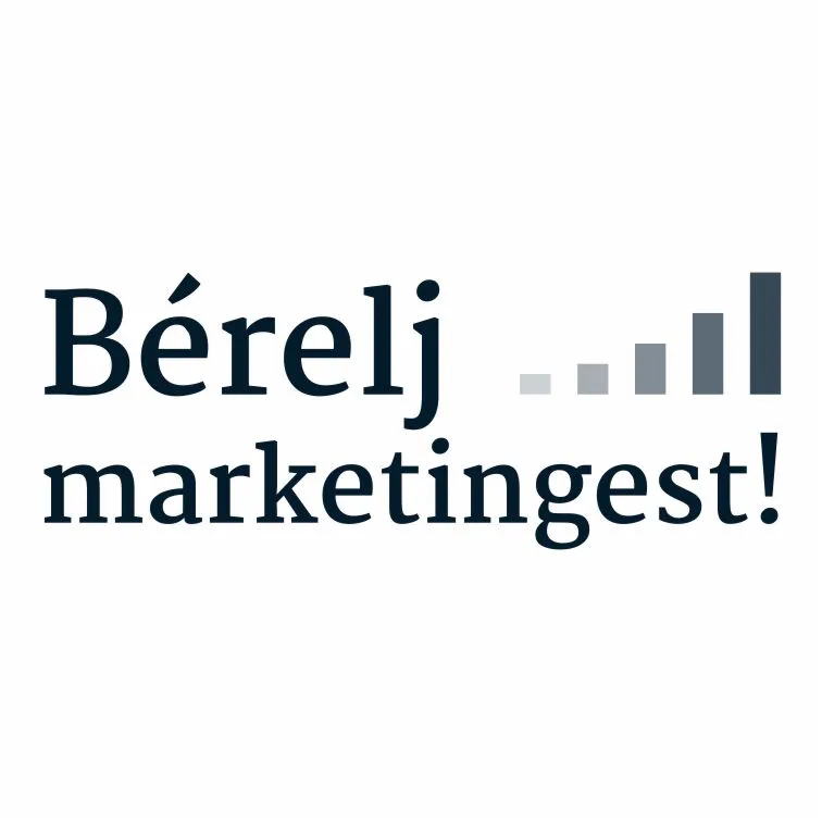 Google and Facebook Ads (Hungarian)