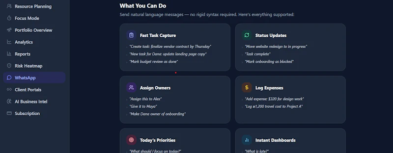 PolyProjects.Pro screenshot 3