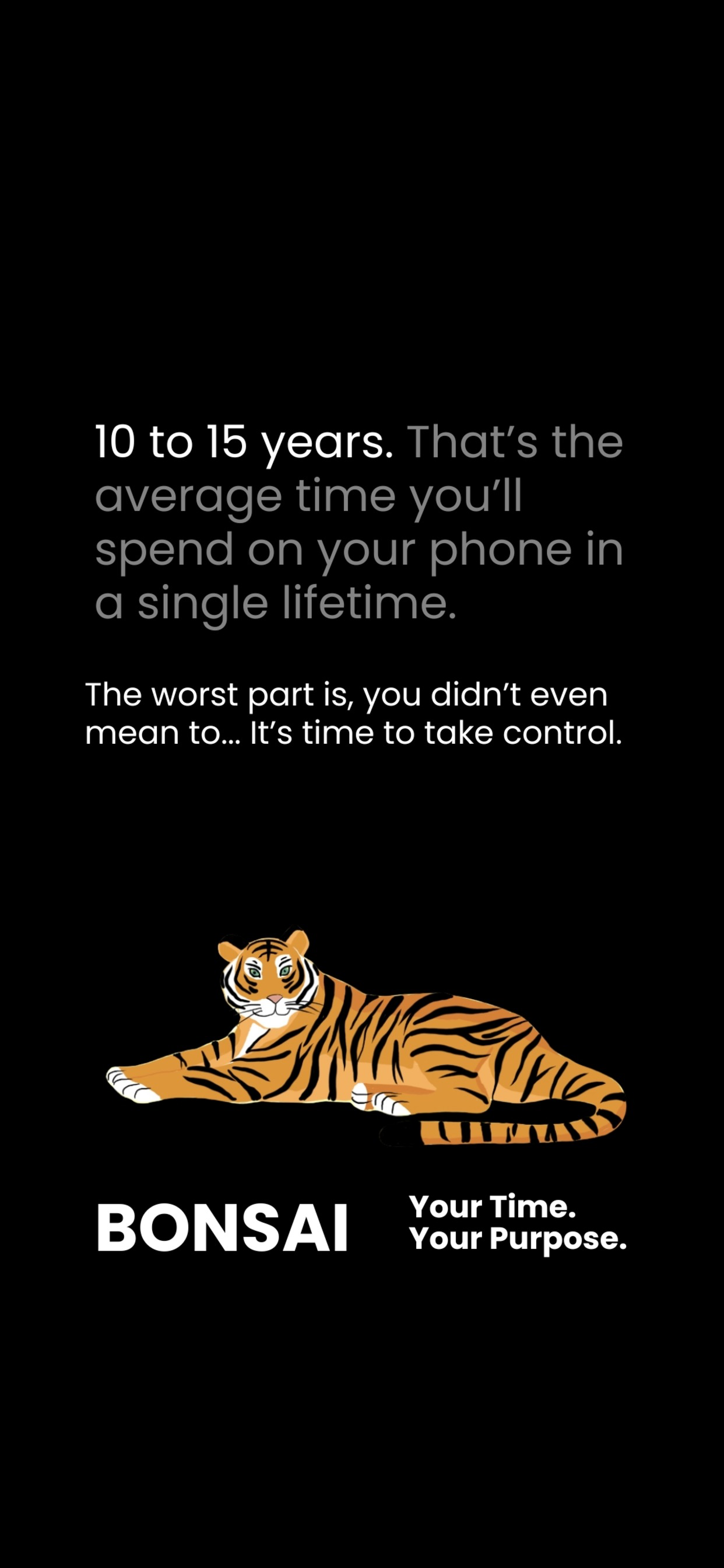 Bonsai gallery image