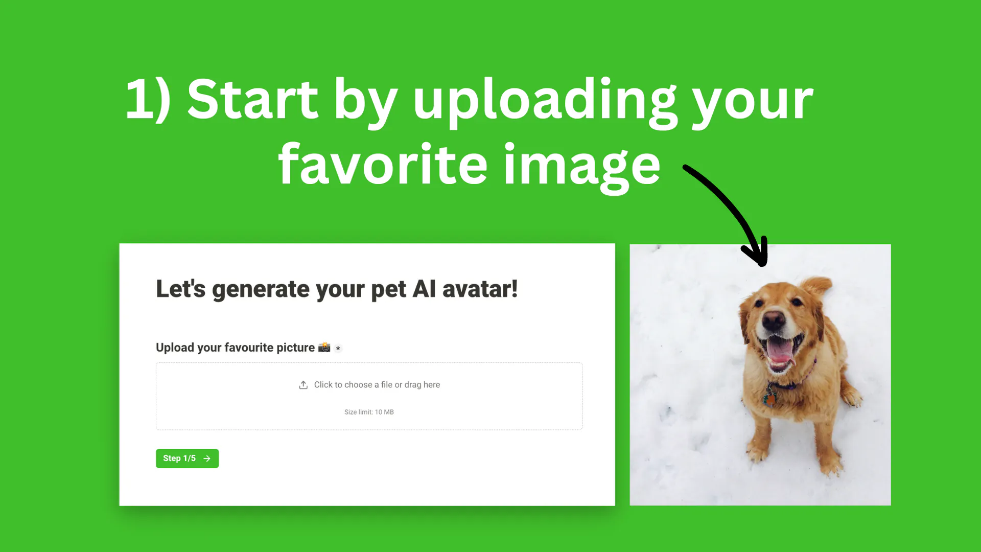 AiPetAvatar.com gallery image