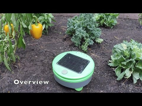 Tertill gallery image