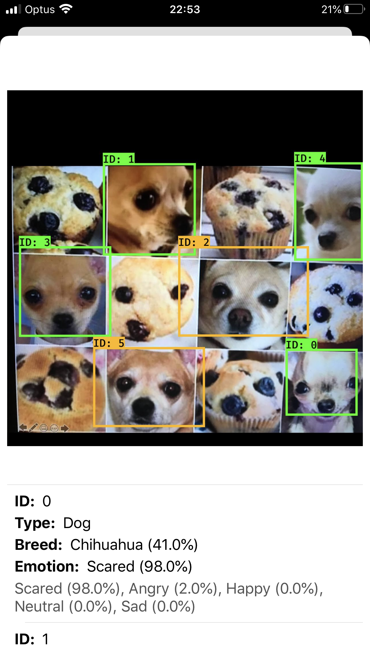 Happy Pets gallery image
