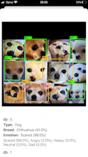 Happy Pets gallery image