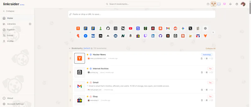 linkraider screenshot 2