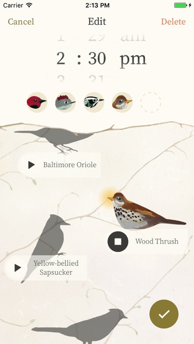 Dawn Chorus gallery image