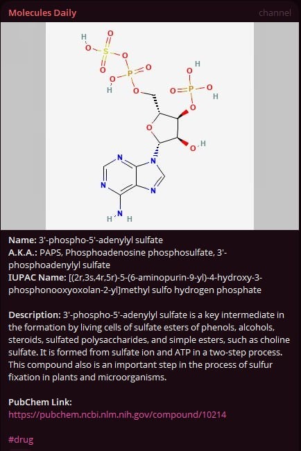Molecules daily automated channel gallery image