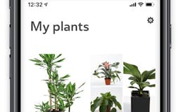 Planta media 2