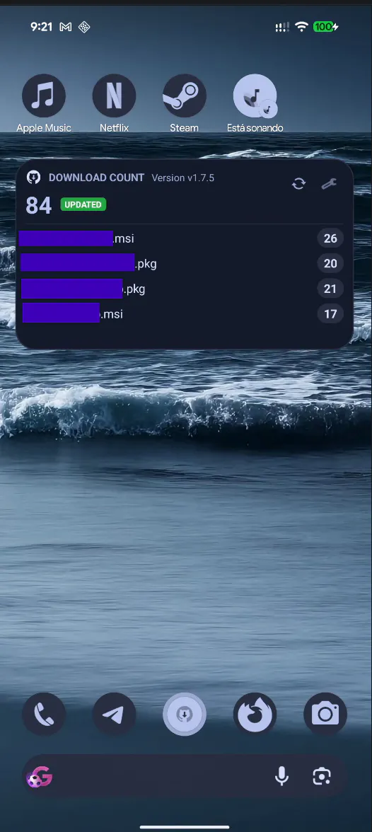 Captura 2